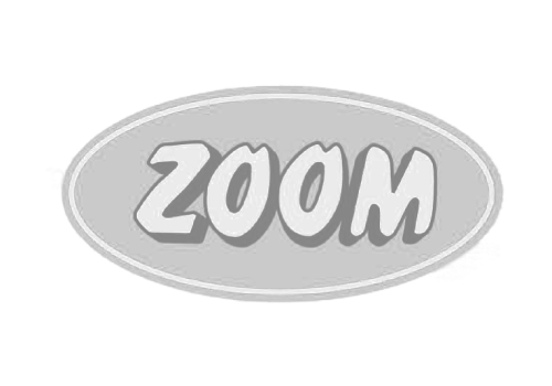 logo zoom